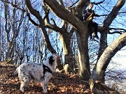 02 Che bello arrampicare sui secolari faggi della 'Passata' e godere la vista della faggeta dall'alto